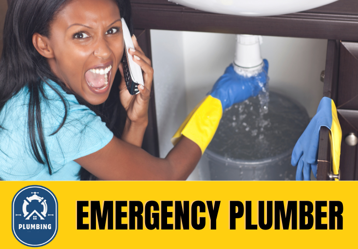 emergency plumber Chestfield