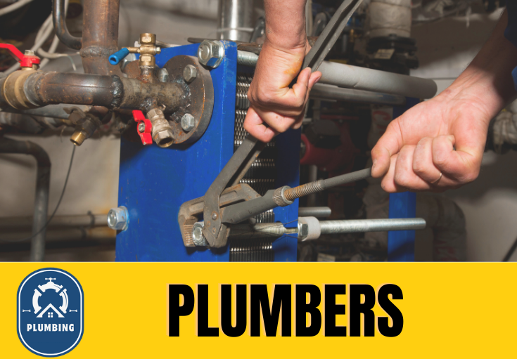  plumber Tankerton